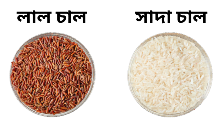 🥣 লাল চাল বনাম সাদা চাল – কোন চাল বেশি উপকারী? পুষ্টিগুণ তুলনা