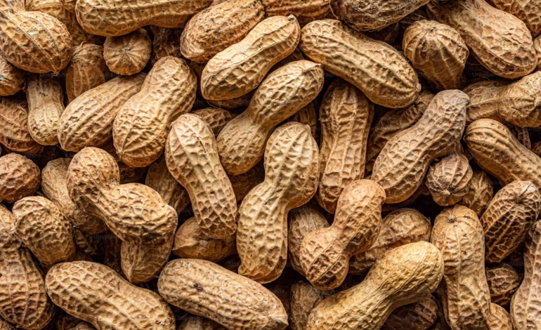 🥜 বাদাম (Groundnut/Peanut) এর উপকারিতা ও খাওয়ার নিয়ম